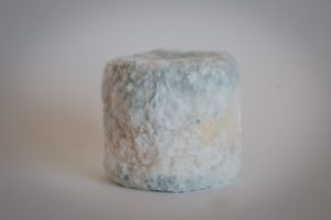 fromage-de-chevre-bleu-tendre-2