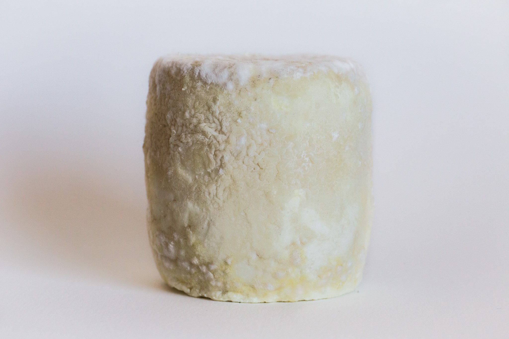 fromage-de-chevre-mi-sec-2