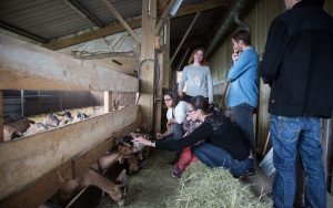 gaec-des-biens-vivants-ferme-pedagogique-visites-guidees