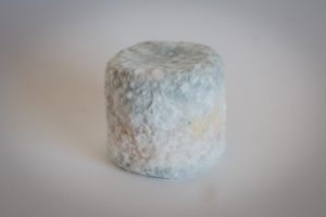 fromage-de-chevre-debut-de-bleu-4