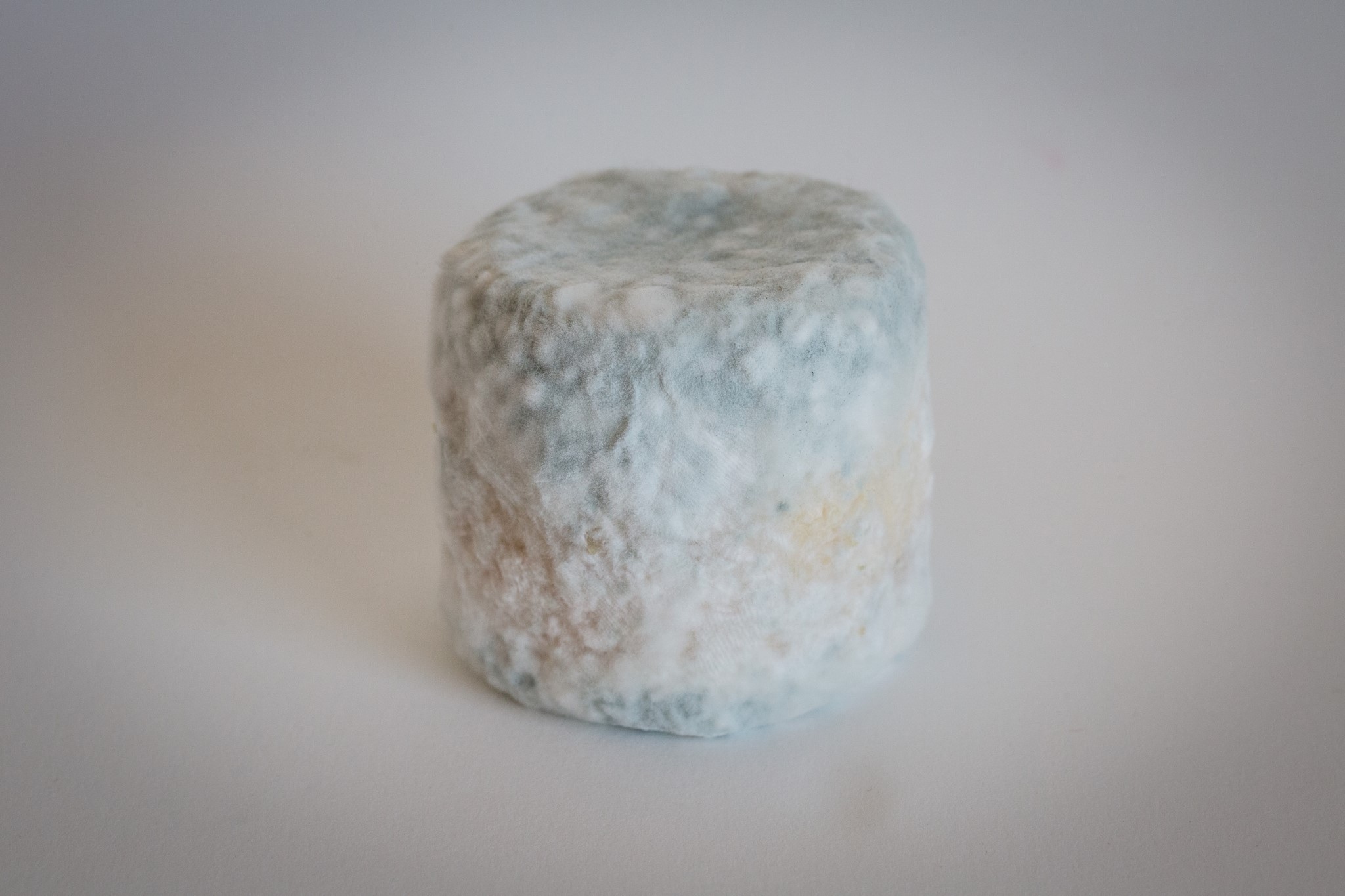 fromage-de-chevre-debut-de-bleu-4