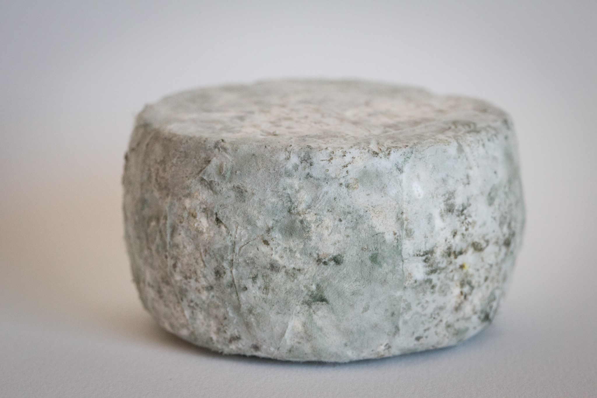 fromage-de-chevre-tommette-2