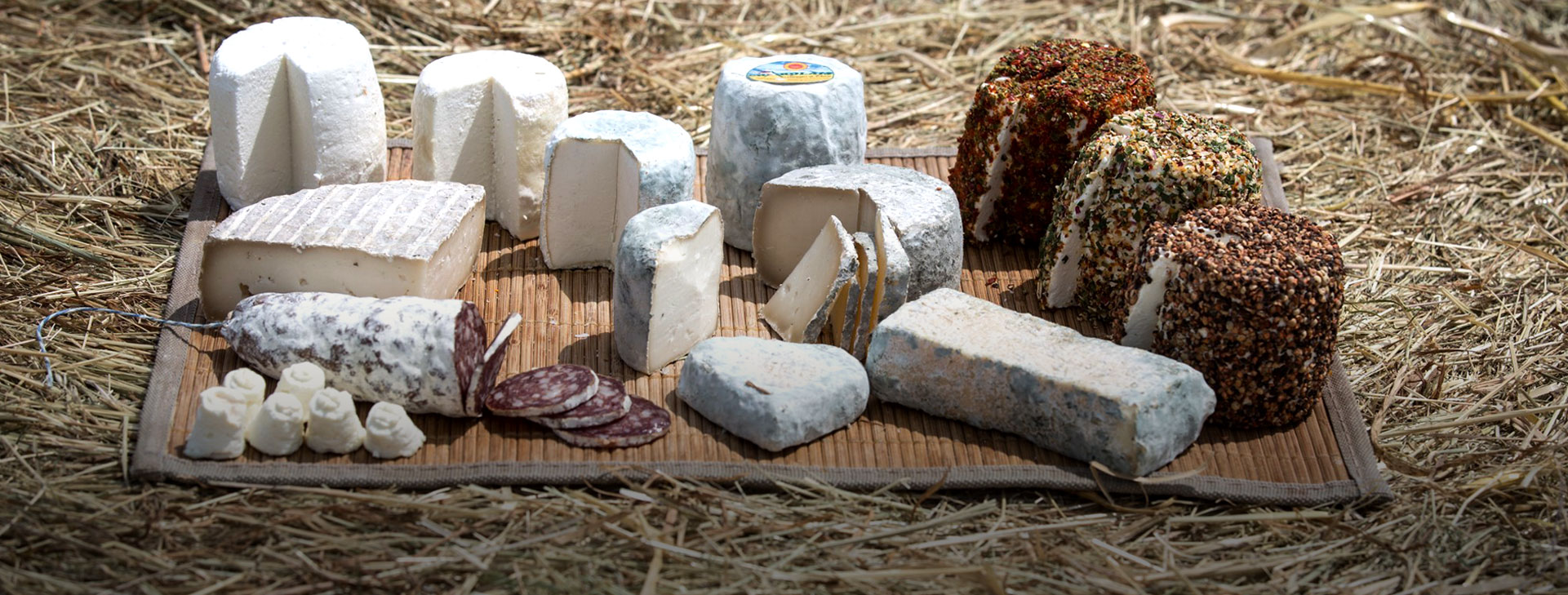 gaec-bien-vivants-fromage-de-chevre-slider-6
